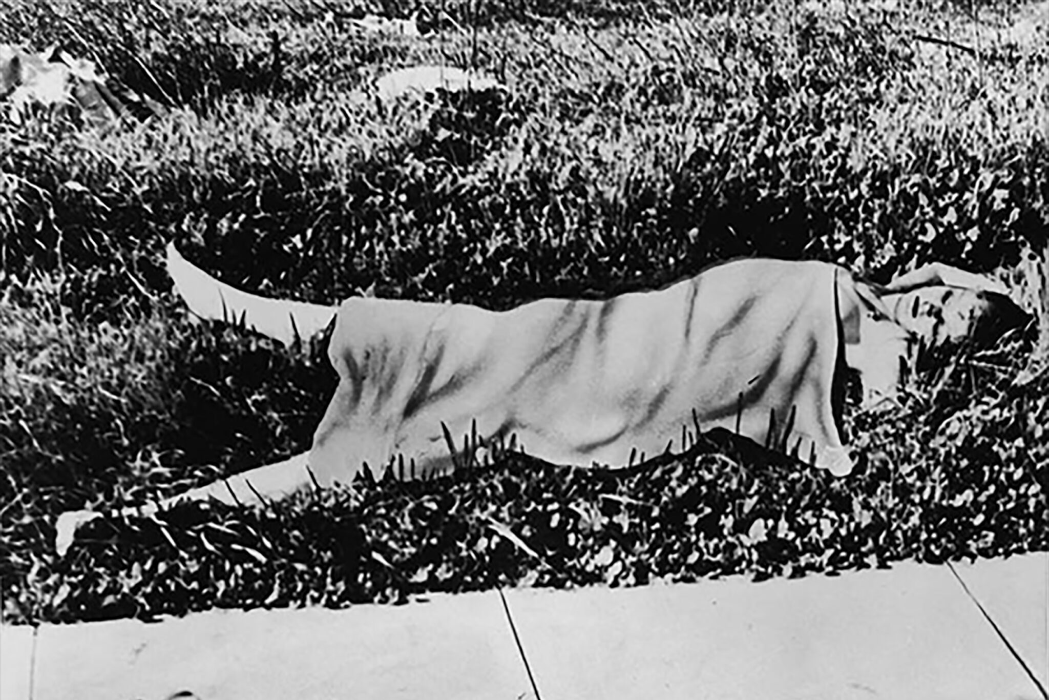 Black Dahlia Crime Scene And