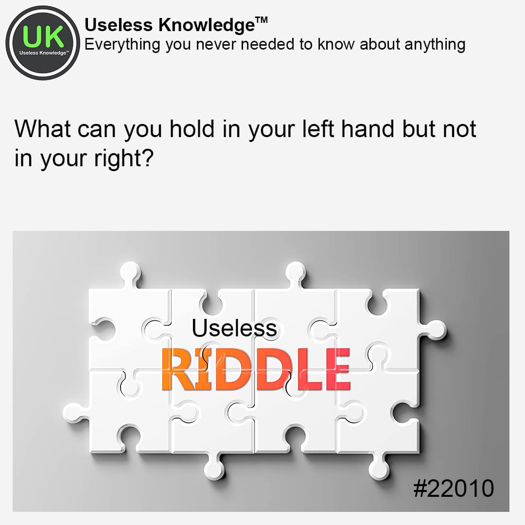 Adult Riddle