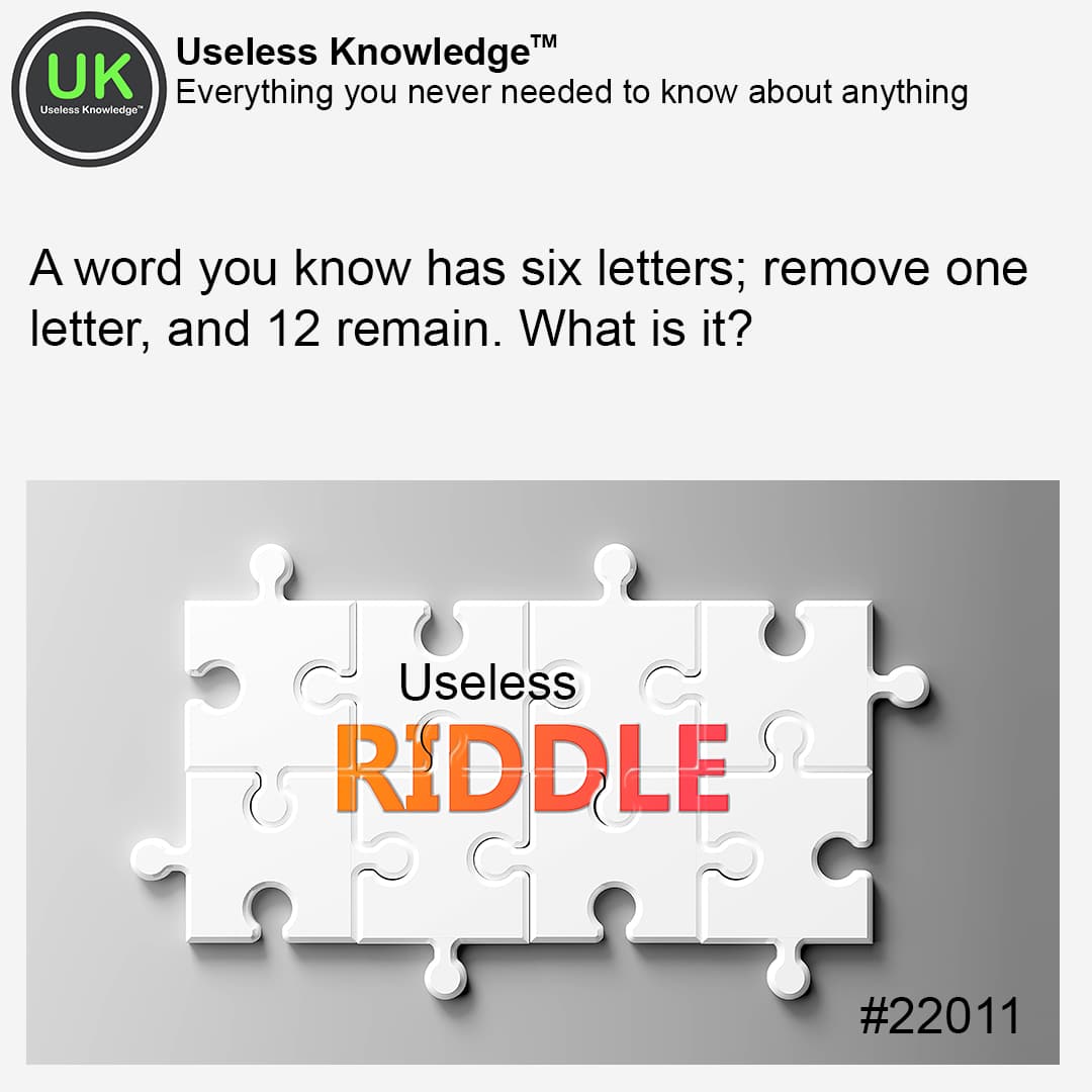 Adult Riddle