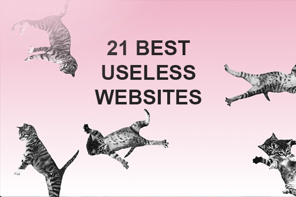 Useless Websites