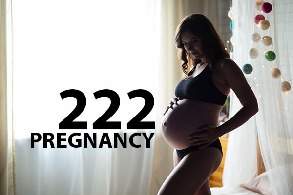 222 Angel Number Pregnancy